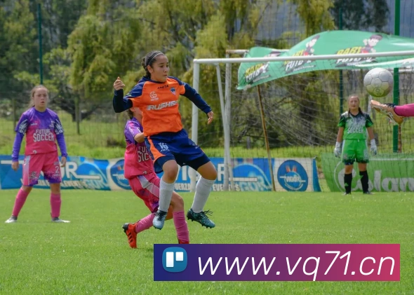 开云kaiyun网页版快速登录平台生态图